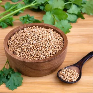 Coriander
