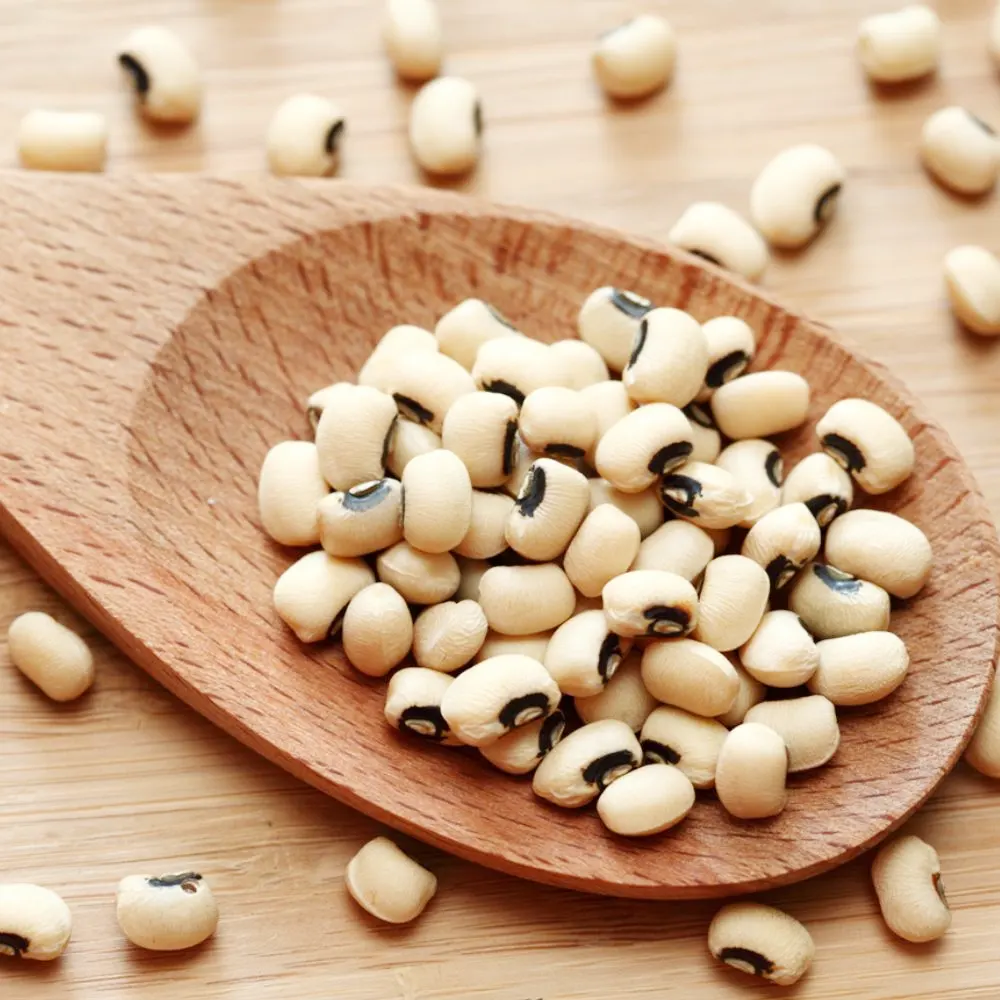 Cowpea