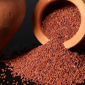Finger Millet Ragi