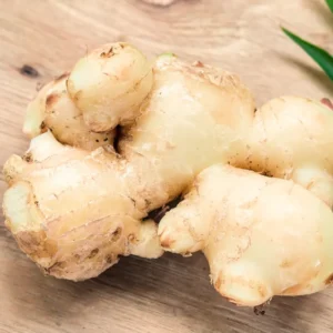 Ginger