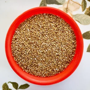 Kodo Millet