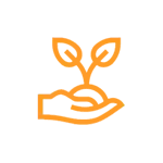 icon33