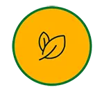 icon4