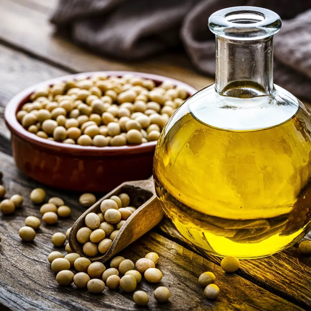 oil-seeds