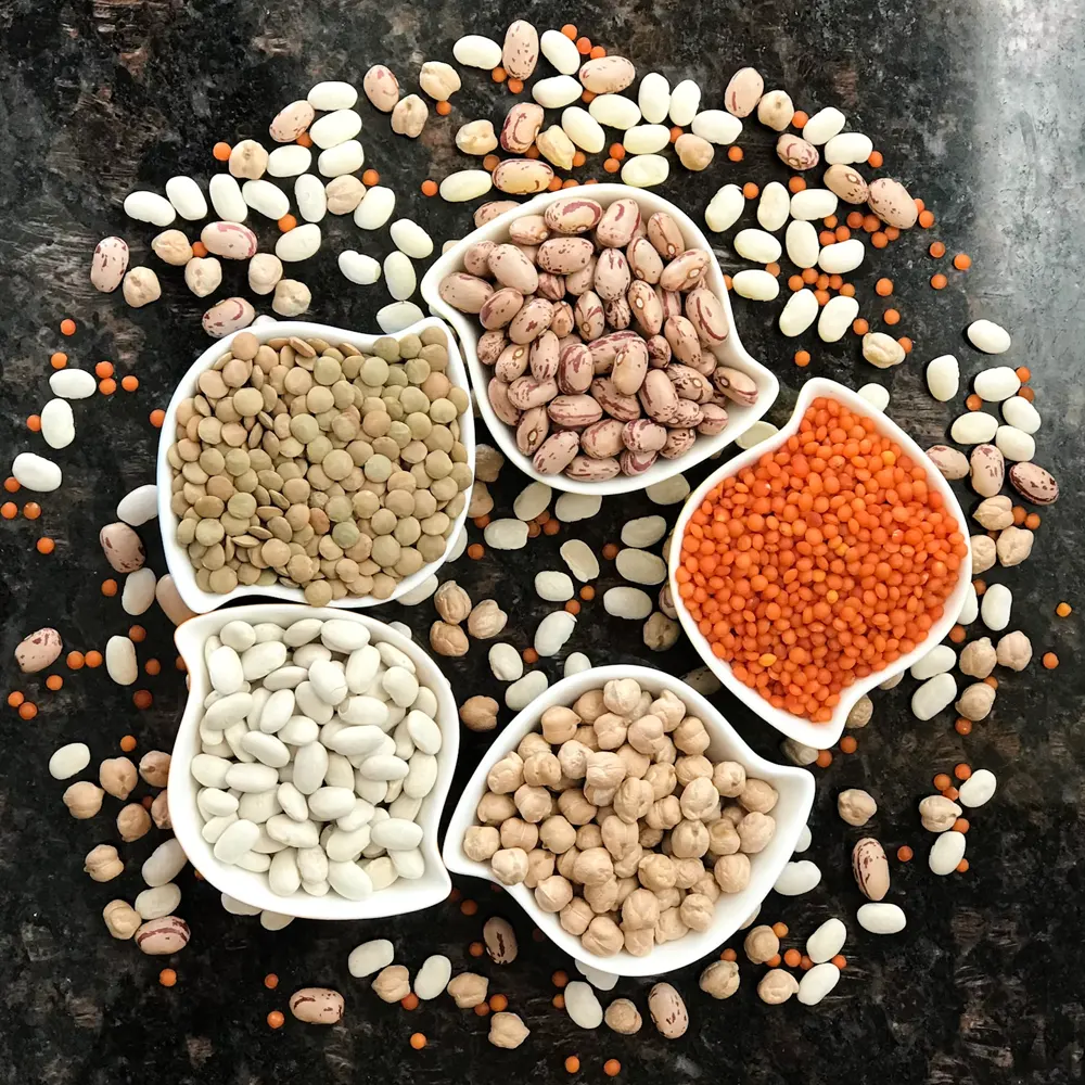 pulses-legumes-dal